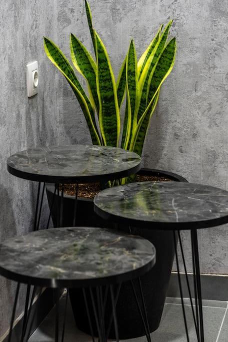Coloris Rubrum Room Thessaloníki Ngoại thất bức ảnh
